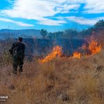 Ejército sofoca incendio agropecuario en Chontales