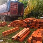 Comando Regional 6 informa de ocupación de madera en la Costa Caribe Sur