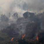 Incendios forestales, dengue y temperaturas récord: Sudamérica sufre por la ola de calor extremo