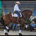 Realizan lanzamiento nacional de festivales vaqueros
