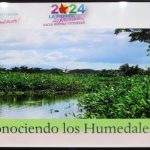 INAFOR da a conocer la importancia de los humedales