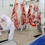 Nicaragua: Aumenta producción nacional de carne bovina en primeros meses del 2024