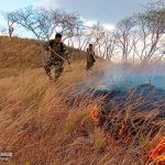 Ejército de Nicaragua: Acción rápida y decisiva en la sofocación de incendios forestales