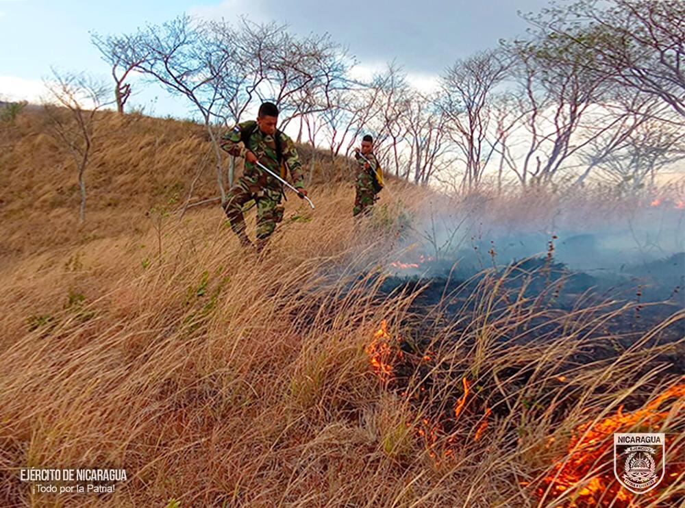 Ejército de Nicaragua: Acción rápida y decisiva en la sofocación de incendios forestales