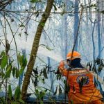 Más de 1.200 hectáreas arden por incendio forestal en Colombia