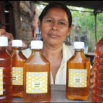 Buenos Resultados en Producción Nacional de Miel