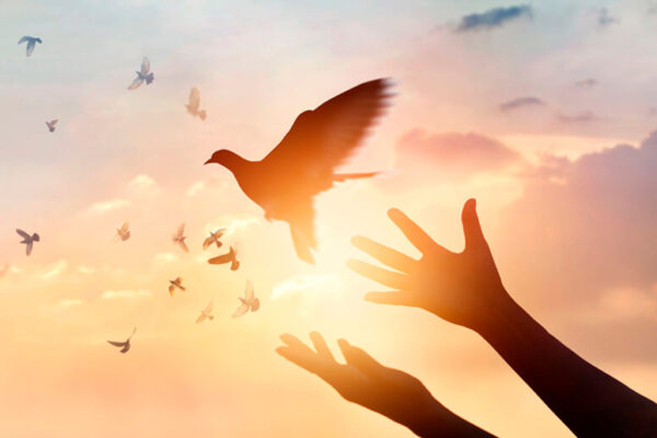 La paz elemento fundamental en la vida de las familias nicaragüenses