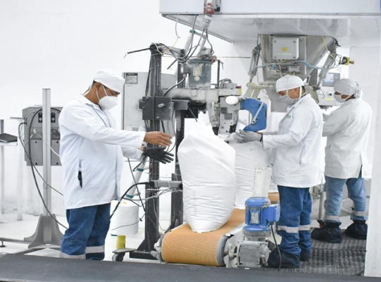 Nicaragua presenta mayor producción nacional de azúcar 2023-2024