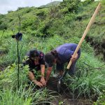 Reforestan 100 hectáreas en el Parque Nacional Volcán Masaya