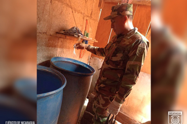 Ejército de Nicaragua participa en jornada de abatización para prevenir enfermedades a la población