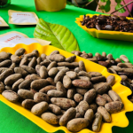 Expo Feria «Toma Chocolate» en Somoto