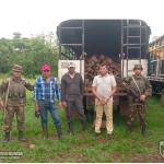 Ejército de Nicaragua lleva a cabo ocupación de madera de la especie Palo de Agua y Níspero, trasladada de manera ilegal