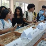 Museo de Entomología de la UNA: Avance en investigación y educación