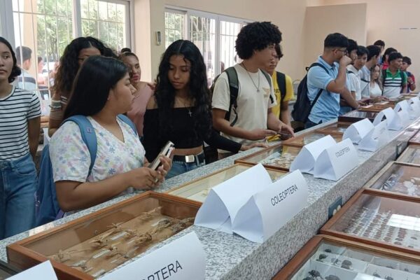 Museo de Entomología de la UNA: Avance en investigación y educación