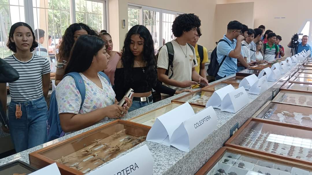 Museo de Entomología de la UNA: Avance en investigación y educación