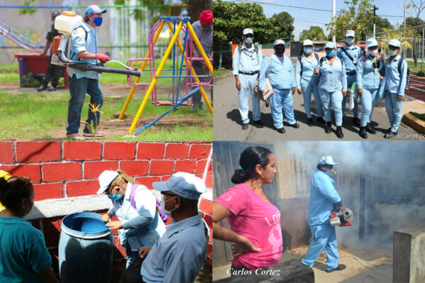 Jorge Jenkins Molieri: La lucha contra el dengue