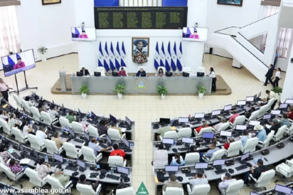 Asamblea Nacional Aprueba Ley para Regular Programas de ONGs y Agentes Extranjeros