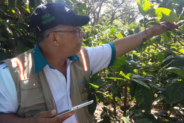 IPSA, al frente de Vigilancia Fitosanitaria