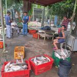 INPESCA Fortalece el Monitoreo y Control Pesquero en Río San Juan y Rivas