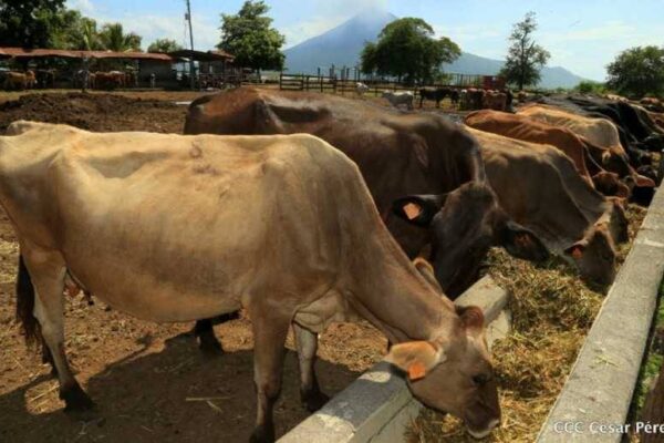 IPSA Impulsa la Protección del Patrimonio Agropecuario