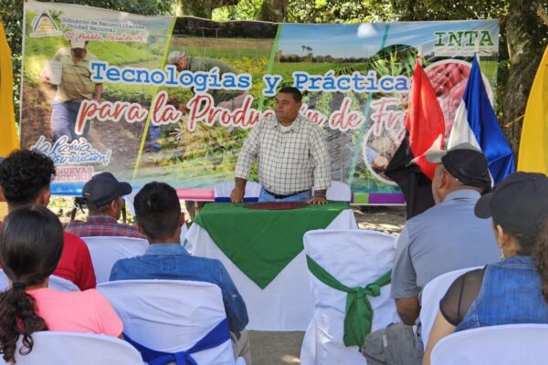 INTA Presenta Resultados de la Siembra de Frijol a Doble Surco