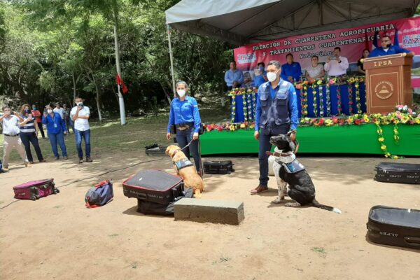 ¿Sabías que en Nicaragua hay una escuela canina especializada en la detección de productos agropecuarios?