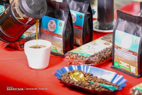 Congreso Internacional del Café: Nicaragua avanza en calidad y comercialización