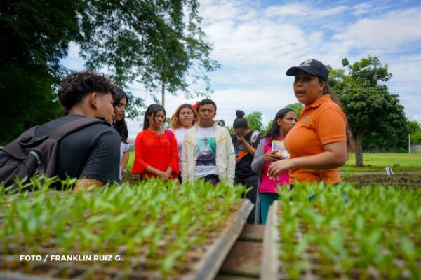Feria Vocacional de la UNA muestra oportunidades académicas para 2025