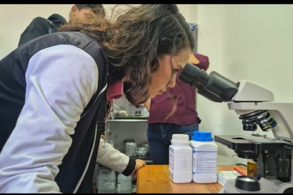 Avances en Técnicas de Precisión para la Detección de Plagas y Enfermedades en Cultivos