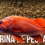 Nicaragua fortalecerá la seguridad alimentaria con la implementación de harina de pescado