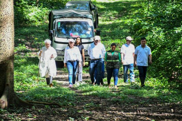 Liberan fauna silvestre en Granada