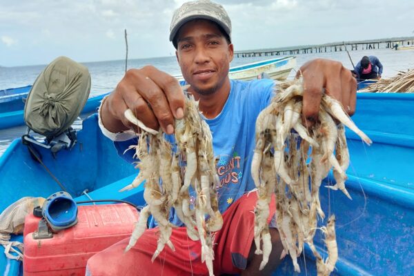 NPESCA impulsa mejor gestión pesquera en la Costa Caribe Norte