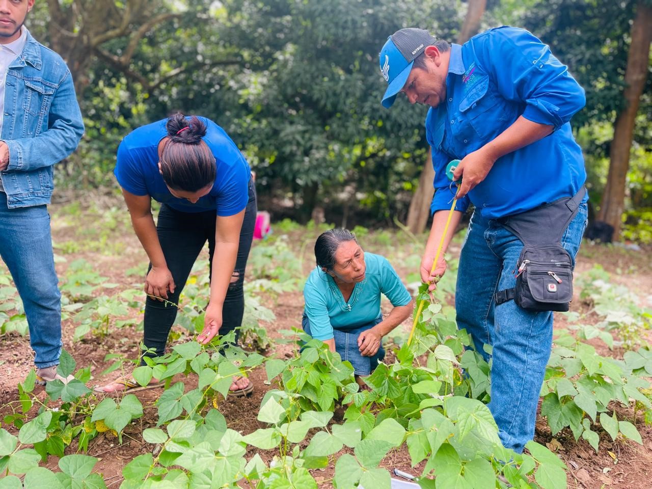 Gobierno Implementa Certificación Fitosanitaria para Semillas para Garantizar Calidad y Sanidad Agrícola