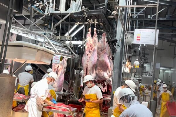 La carne bovina nicaragüense cubre demanda nacional y fortalece exportaciones