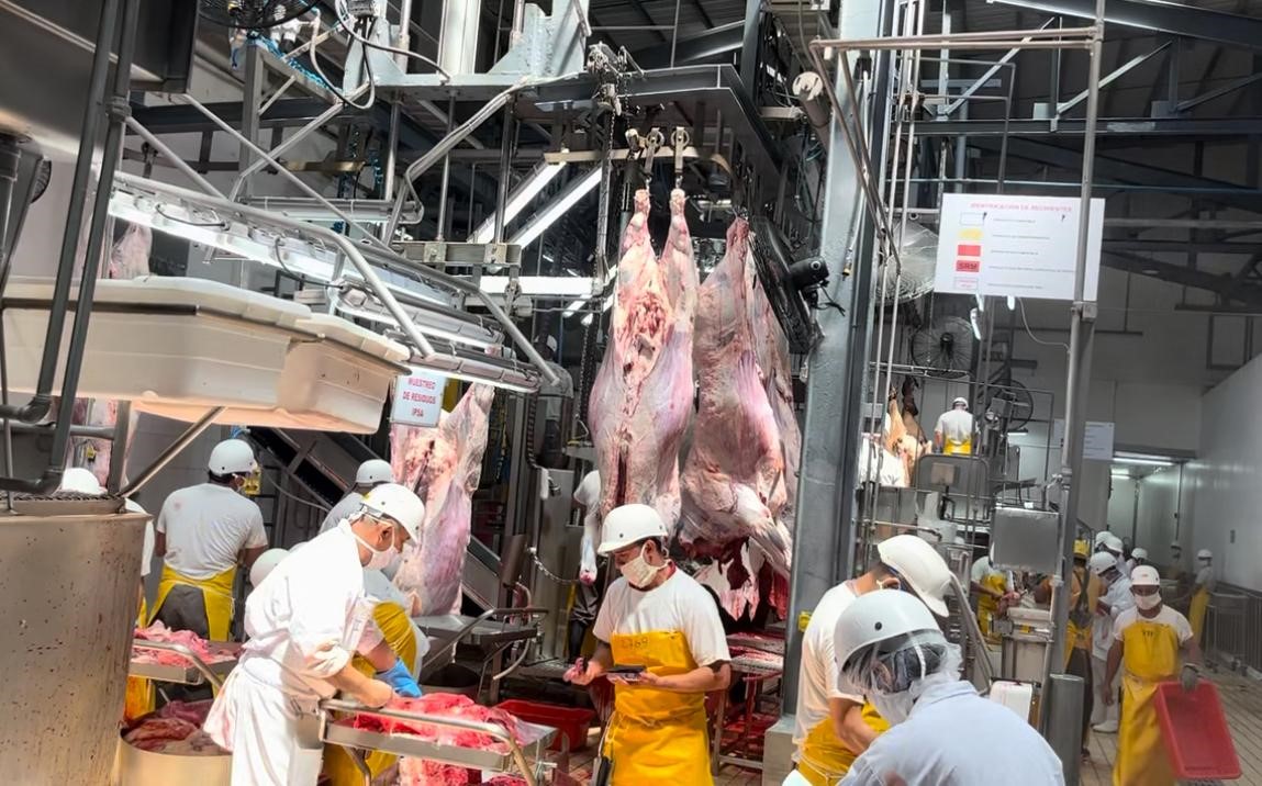 La carne bovina nicaragüense cubre demanda nacional y fortalece exportaciones