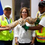 Gobierno Autoriza Investigaciones Científicas para Fortalecer el Monitoreo de la Biodiversidad