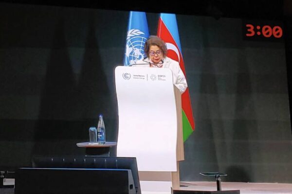 Nicaragua expone posición ante crisis climática en COP 29