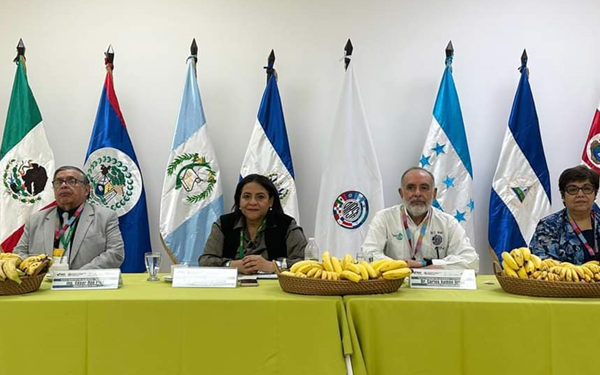 IPSA Realiza Taller Regional sobre Trazabilidad Agrícola: Impulso a la Innovación y la Sostenibilidad en el Sector Agropecuario