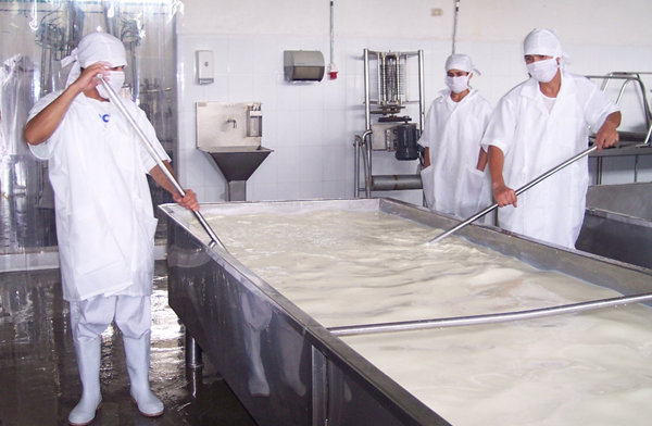Avanza Producción Nacional de Leche y Acopio