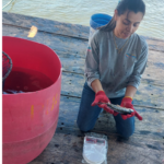INPESCA Brinda Apoyo a Pescadores de Pargo Lunarejo en Chinandega