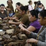 Tabacalera implementa acciones ambientales