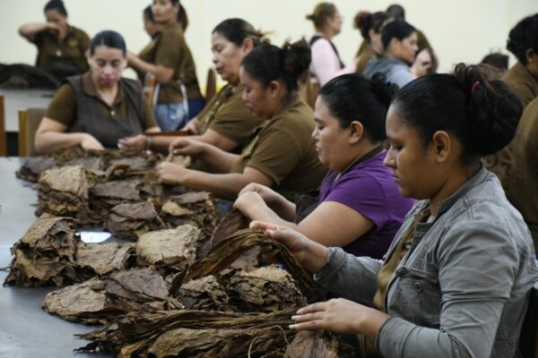 Tabacalera implementa acciones ambientales
