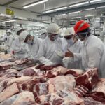 IPSA: Comercio Seguro de Productos Cárnicos Nicaragüenses