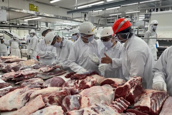 IPSA: Comercio Seguro de Productos Cárnicos Nicaragüenses