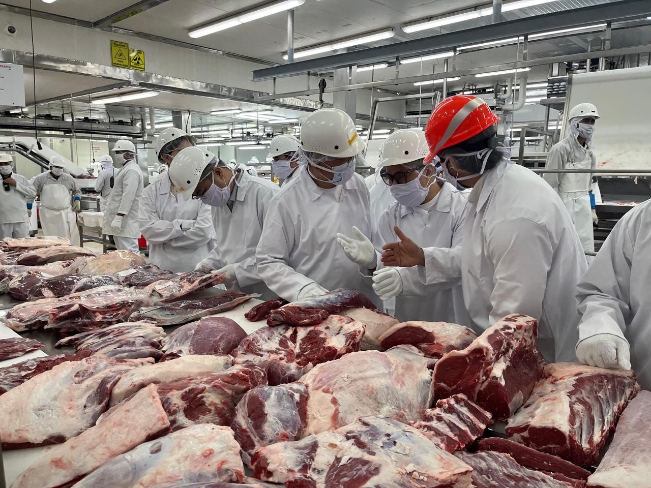 IPSA: Comercio Seguro de Productos Cárnicos Nicaragüenses
