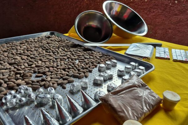 Innovación en Tecnologías y Prácticas para Mejorar la Calidad del Cacao Fino y de Aroma