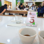 Lanzamos el Certamen Internacional Taza de Excelencia Nicaragua 2025