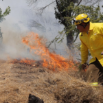 Incendios forestales desatan alerta roja en dos regiones de Chile