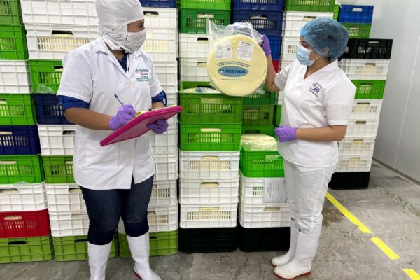 Nicaragua amplía destinos de exportación para productos lácteos