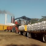 Avanza producción en Zafra Azucarera, Ciclo 2024/2025